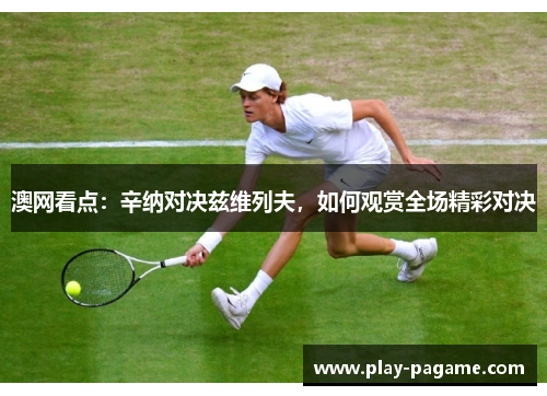 澳网看点：辛纳对决兹维列夫，如何观赏全场精彩对决