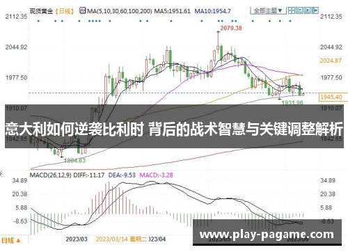 意大利如何逆袭比利时 背后的战术智慧与关键调整解析