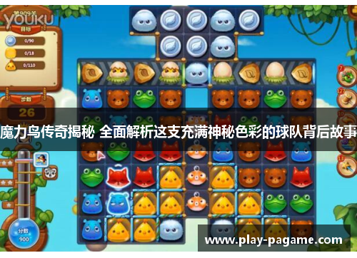 魔力鸟传奇揭秘 全面解析这支充满神秘色彩的球队背后故事